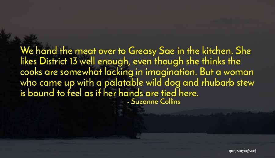 Chilvers Abstract Quotes By Suzanne Collins Chilvers Abstract Quotes By Suzanne Collins