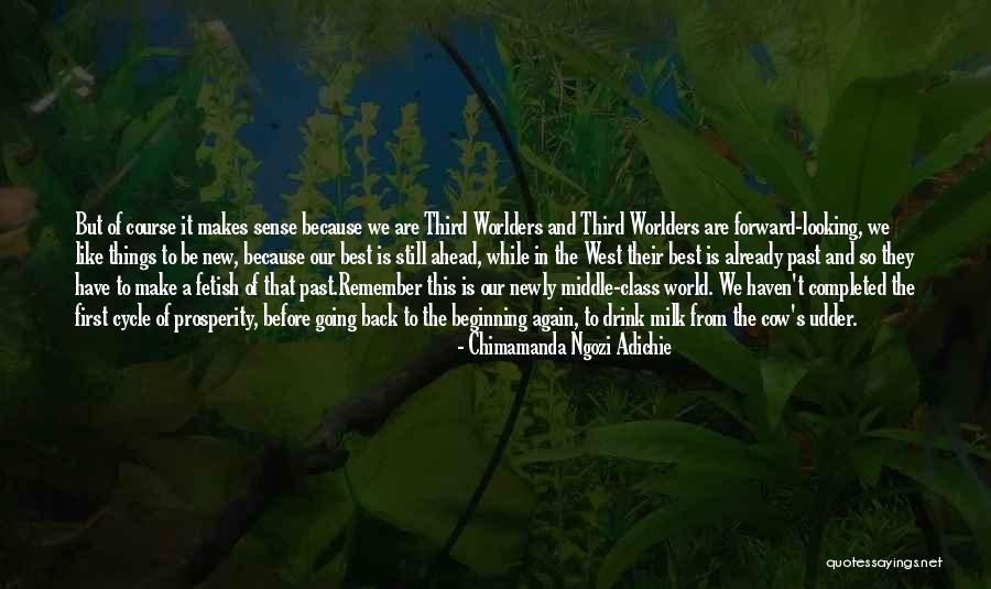 Chimamanda Best Quotes By Chimamanda Ngozi Adichie Chimamanda Best Quotes By Chimamanda Ngozi Adichie
