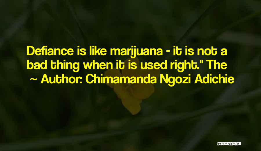 Chimamanda Ngozi Adichie Quotes 1770352