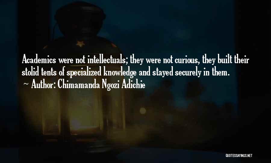 Chimamanda Ngozi Adichie Quotes 1867095