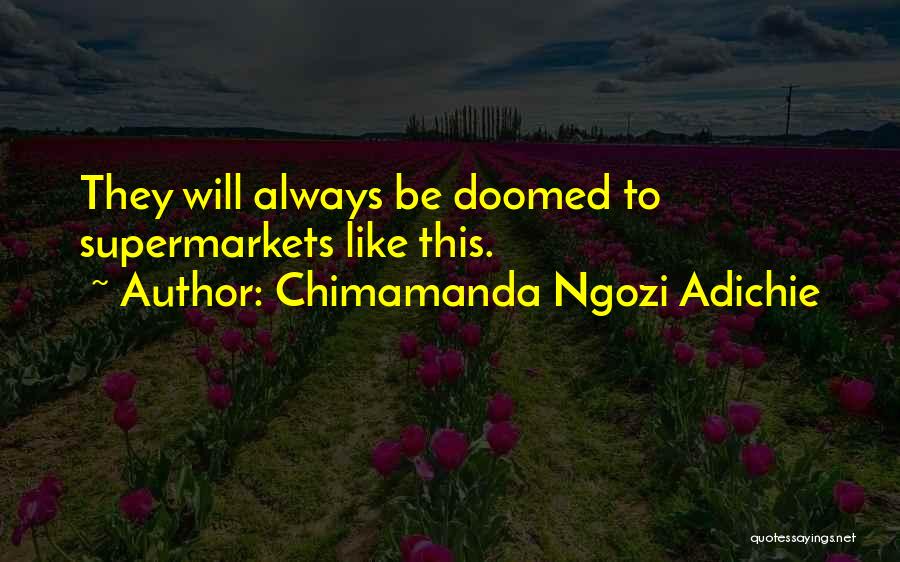 Chimamanda Ngozi Adichie Quotes 1898178