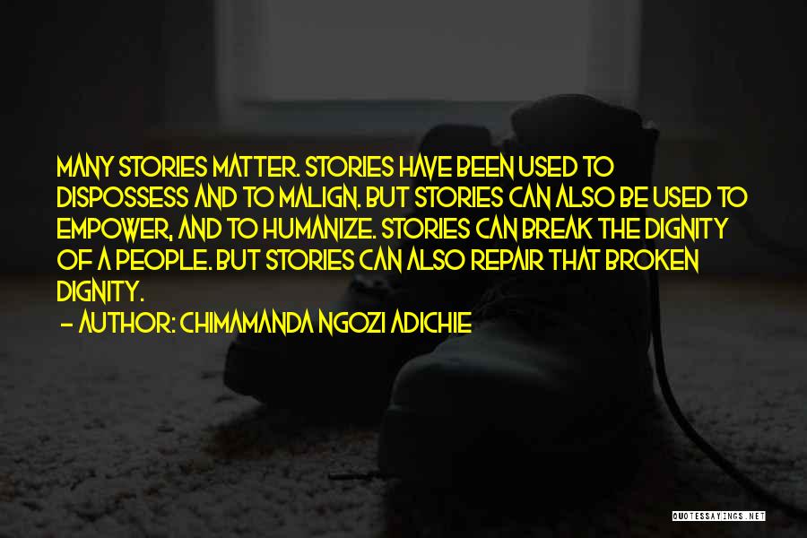 Chimamanda Ngozi Adichie Quotes 1925916