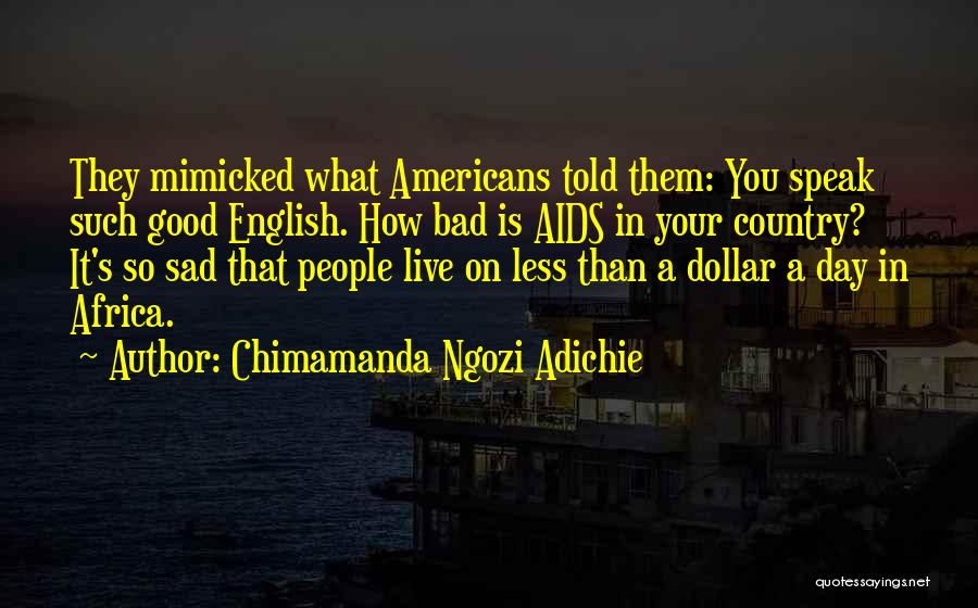 Chimamanda Ngozi Adichie Quotes 353822