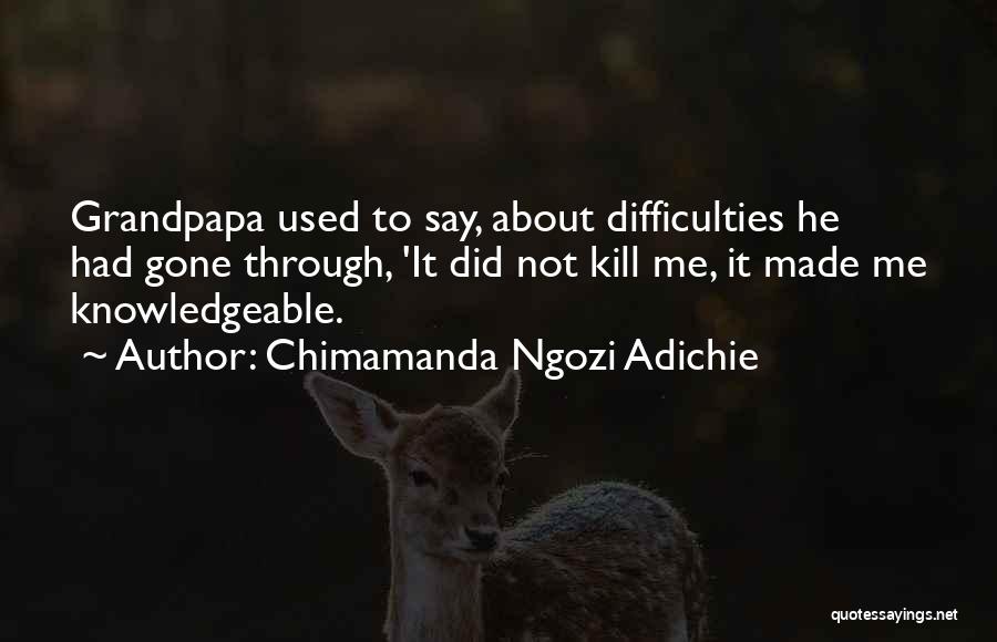 Chimamanda Ngozi Adichie Quotes 607783