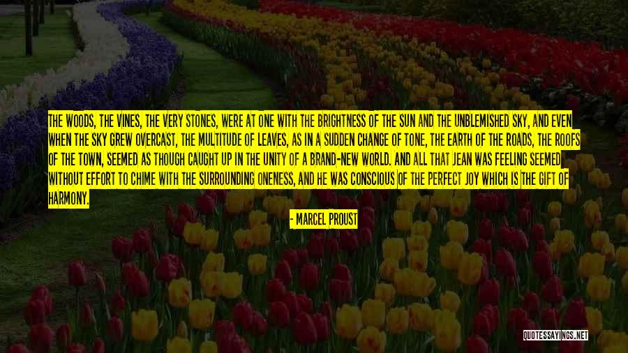 Chime For Change Quotes By Marcel Proust