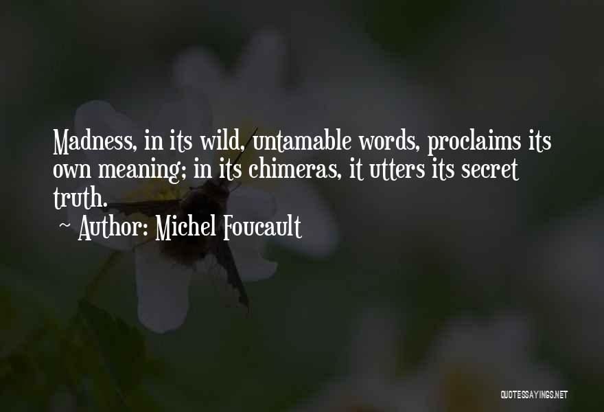 Chimeras Quotes By Michel Foucault