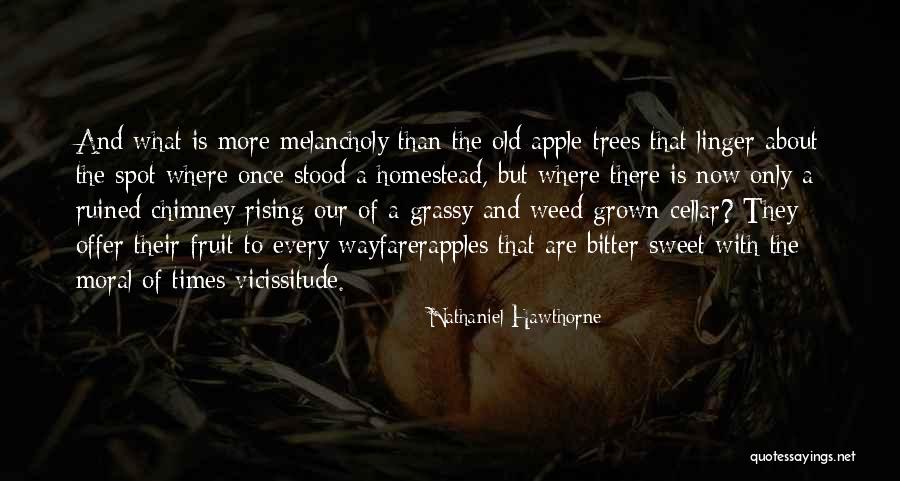 Chimney On Her Quotes By Nathaniel Hawthorne Chimney On Her Quotes By Nathaniel Hawthorne