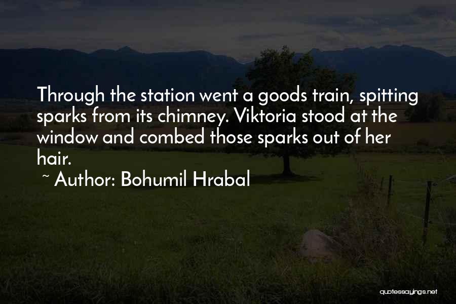 Chimney Quotes By Bohumil Hrabal