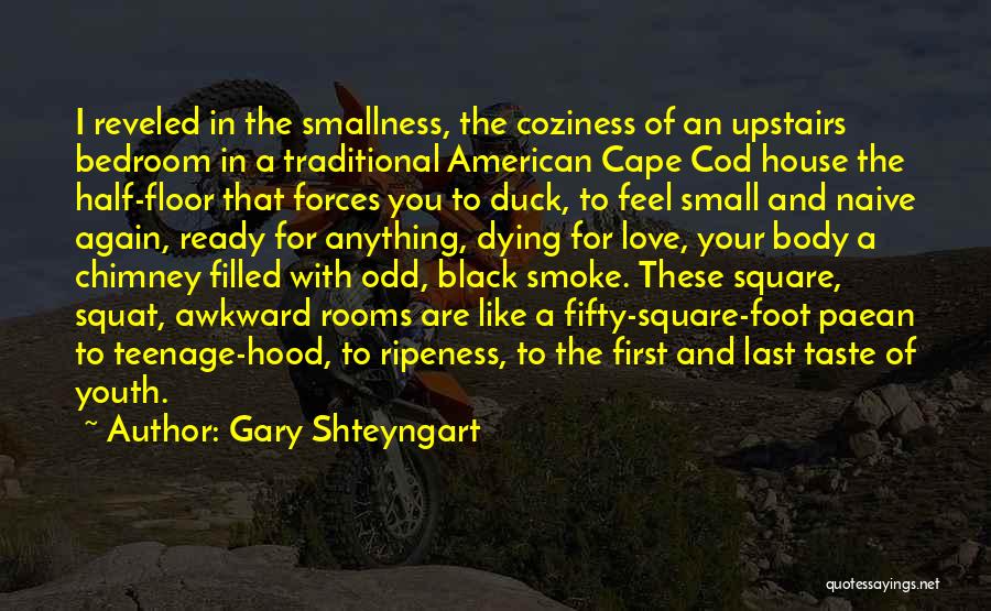 Chimney Quotes By Gary Shteyngart