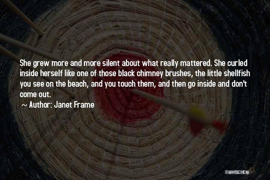 Chimney Quotes By Janet Frame