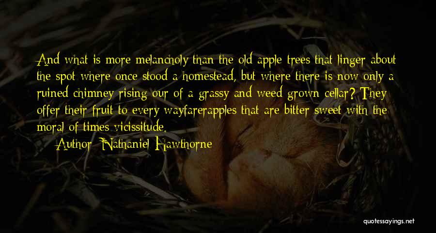 Chimney Quotes By Nathaniel Hawthorne