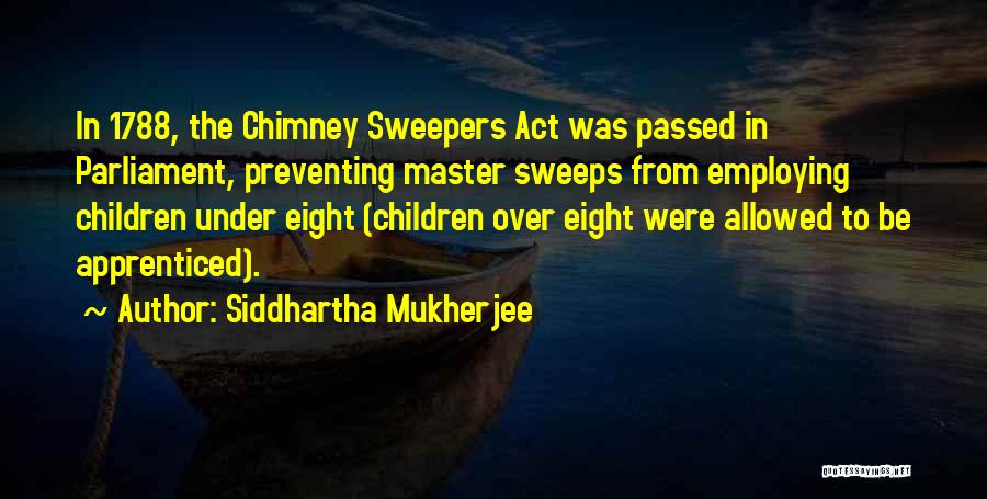 Chimney Quotes By Siddhartha Mukherjee