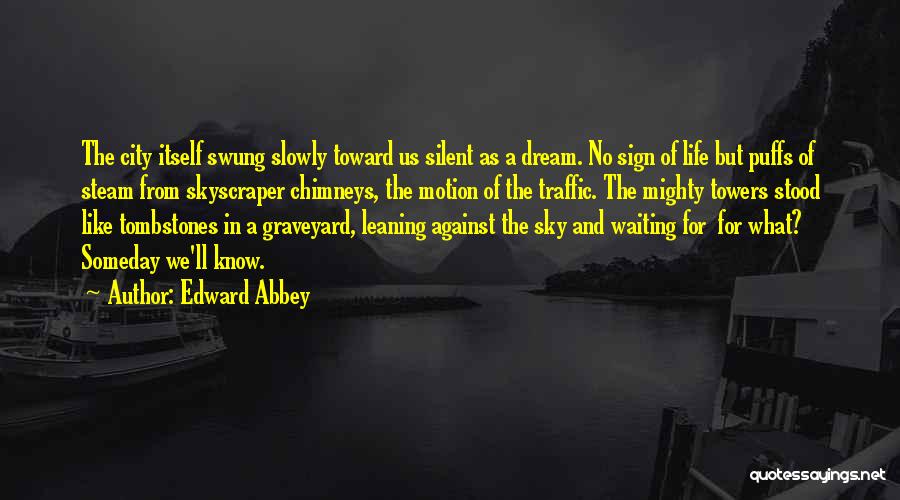 Chimneys Quotes By Edward Abbey