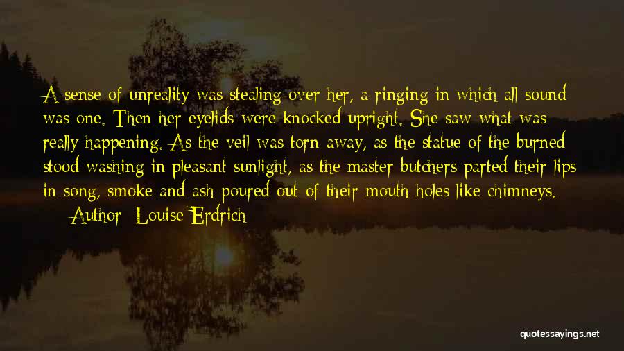 Chimneys Quotes By Louise Erdrich