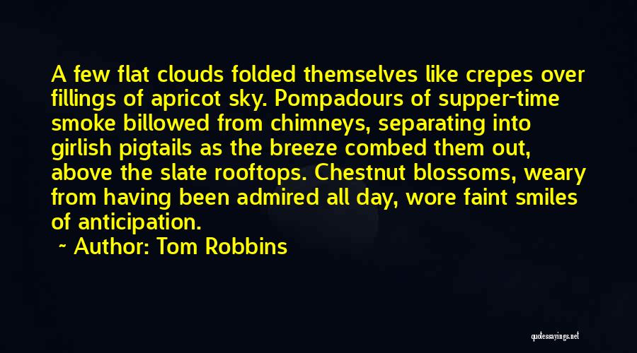 Chimneys Quotes By Tom Robbins