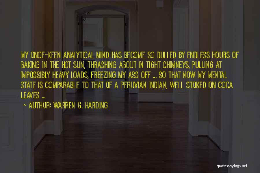 Chimneys Quotes By Warren G. Harding