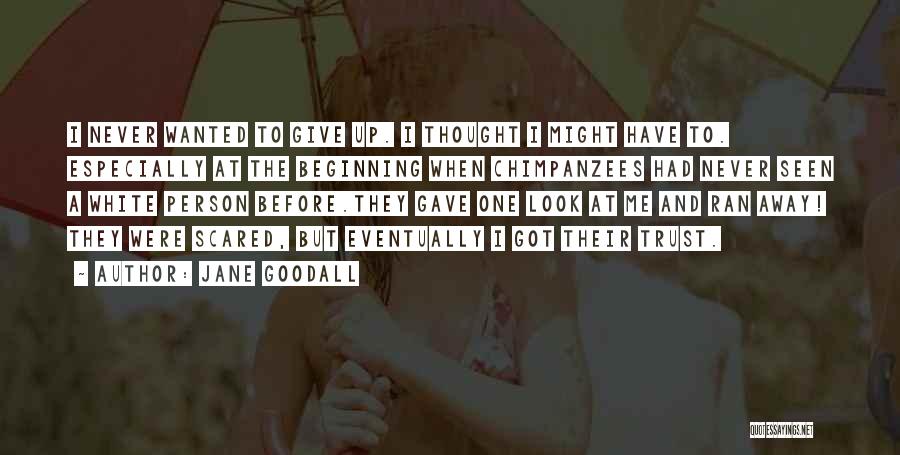 Chimpanzees By Jane Goodall Quotes By Jane Goodall