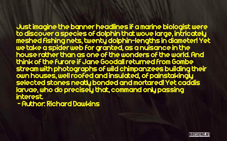 Chimpanzees By Jane Goodall Quotes By Richard Dawkins