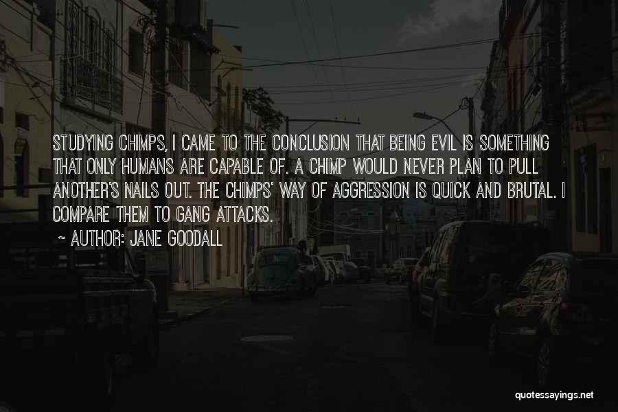 Chimps And Humans Quotes By Jane Goodall