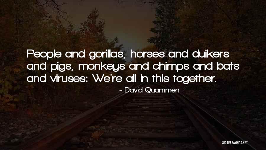 Chimps Quotes By David Quammen Chimps Quotes By David Quammen