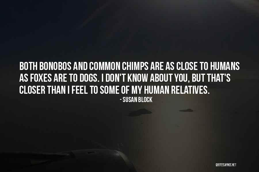 Chimps Quotes By Susan Block Chimps Quotes By Susan Block