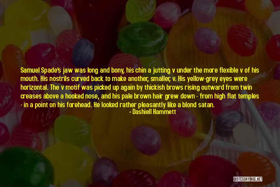 Chin High Quotes By Dashiell Hammett