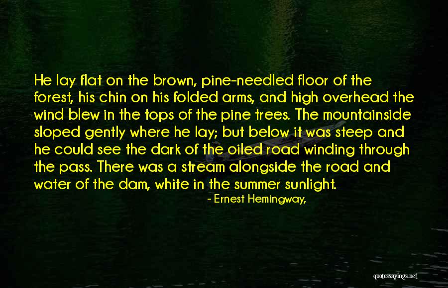 Chin High Quotes By Ernest Hemingway,