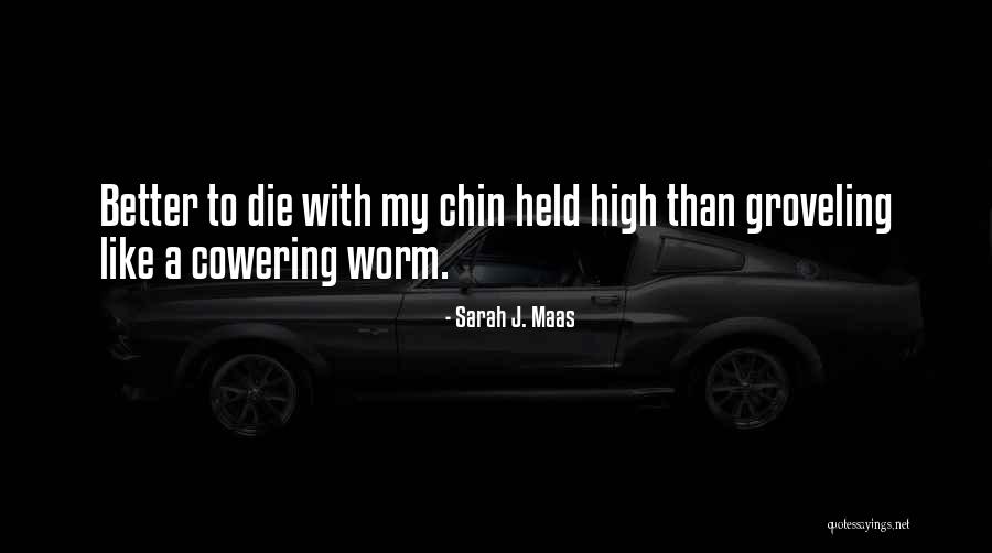 Chin High Quotes By Sarah J. Maas