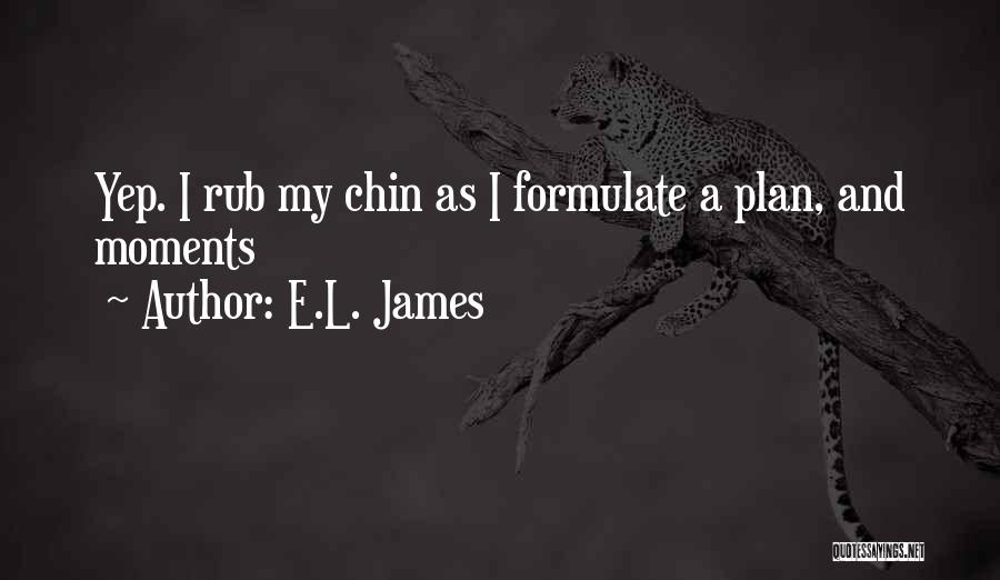 Chin Quotes By E.L. James