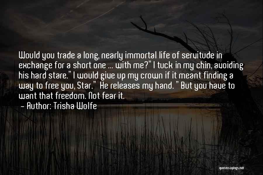 Chin Up Quotes By Trisha Wolfe