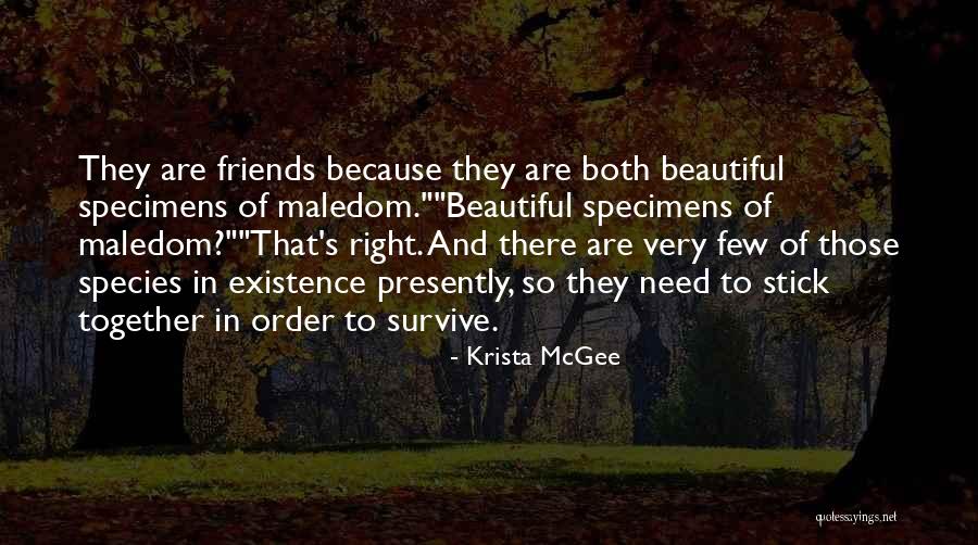 Chin Ups Quotes By Krista McGee Chin Ups Quotes By Krista McGee