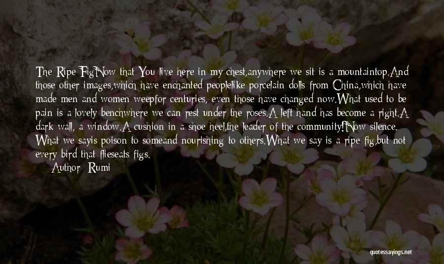 China Dolls Quotes By Rumi