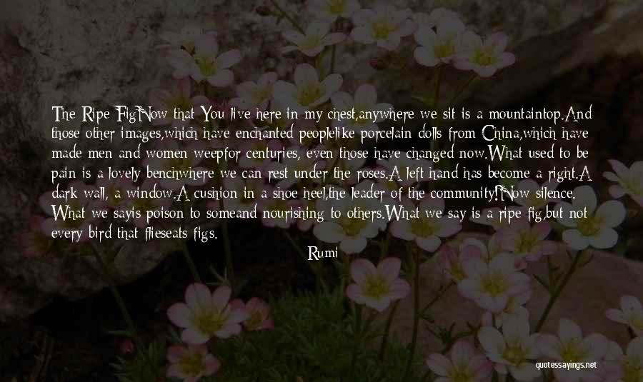 China Dolls Quotes By Rumi China Dolls Quotes By Rumi