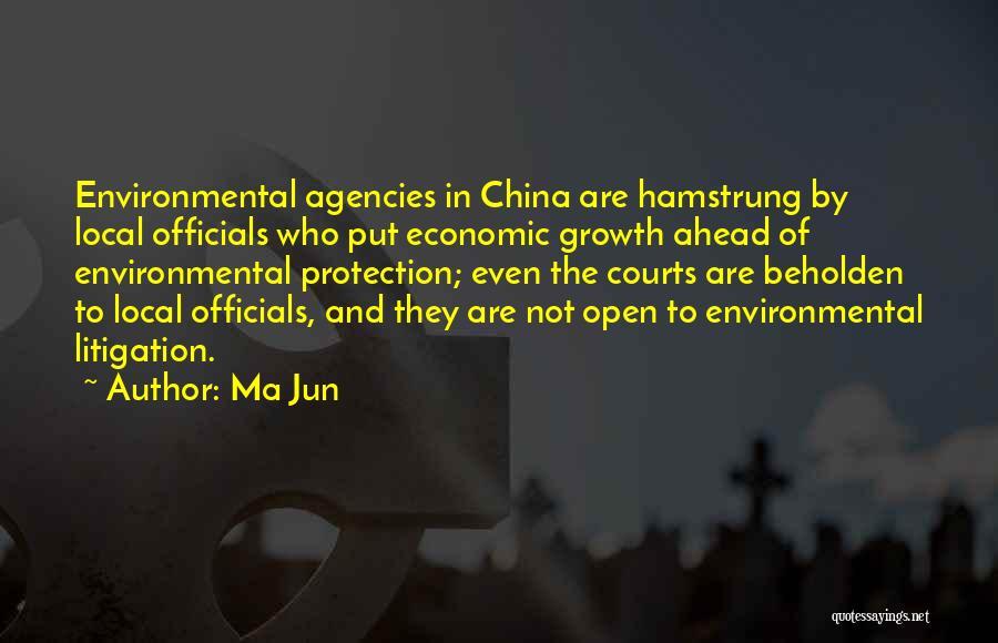 China Economic Growth Quotes By Ma Jun