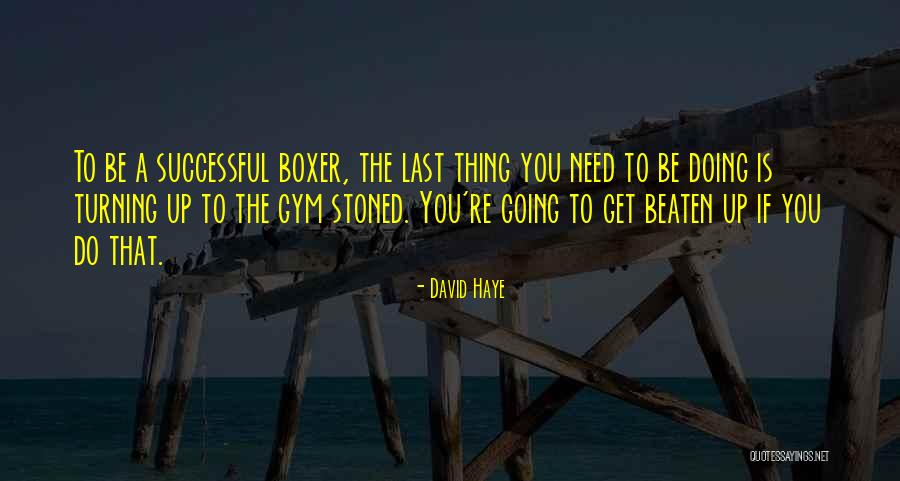 Chinaman Pitbulls Quotes By David Haye Chinaman Pitbulls Quotes By David Haye