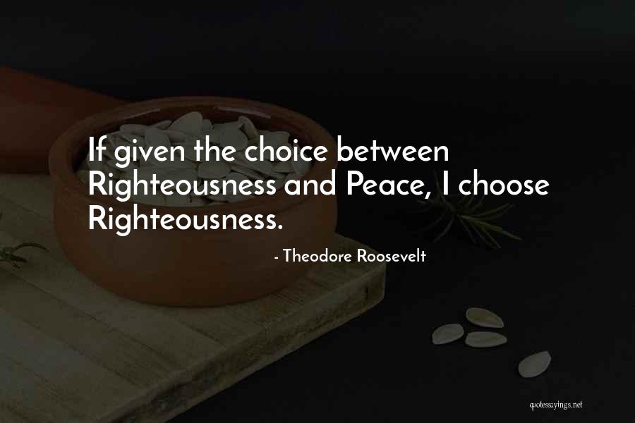 Chinami Hashimoto Quotes By Theodore Roosevelt Chinami Hashimoto Quotes By Theodore Roosevelt
