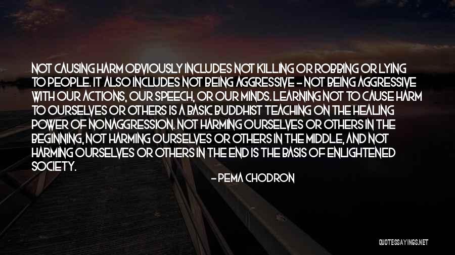 Chinami Suzuki Quotes By Pema Chodron Chinami Suzuki Quotes By Pema Chodron