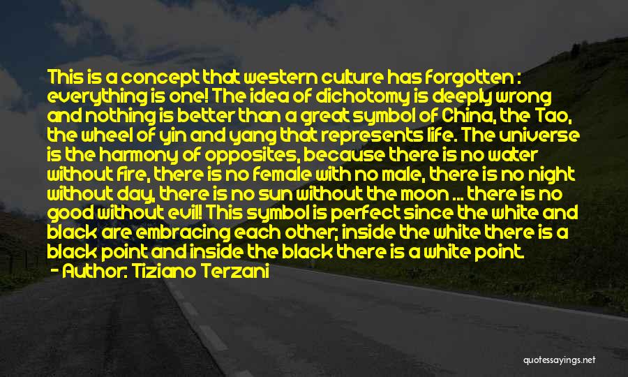 China's Culture Quotes By Tiziano Terzani