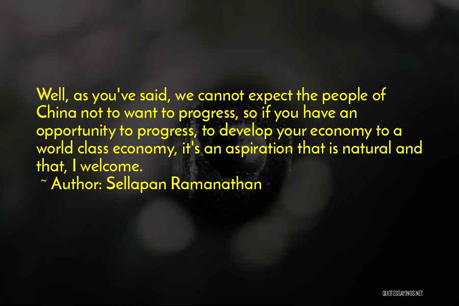 China's Economy Quotes By Sellapan Ramanathan