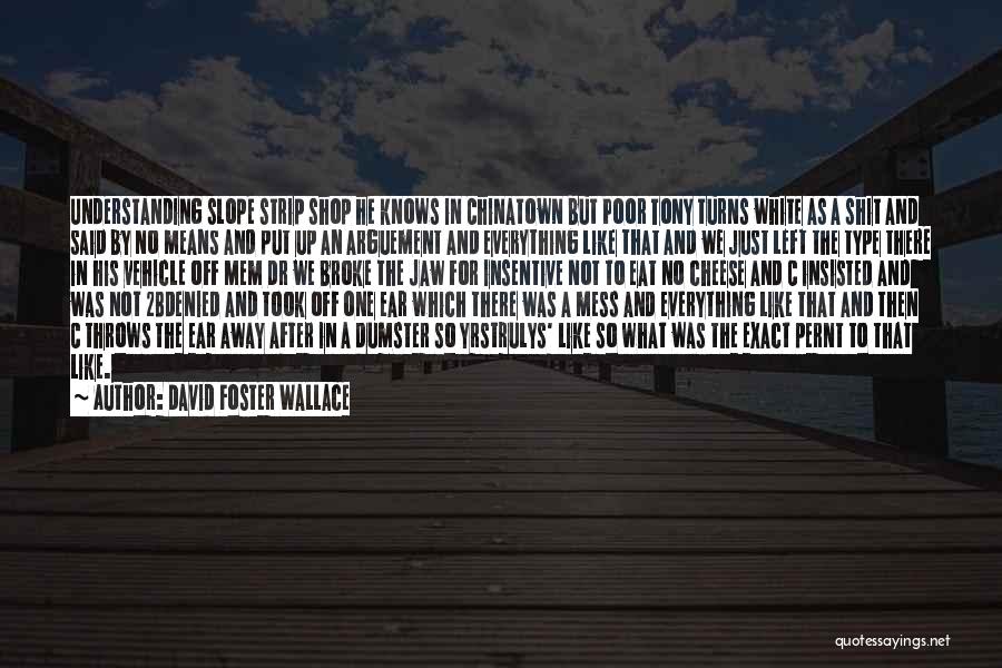 Chinatown Quotes By David Foster Wallace