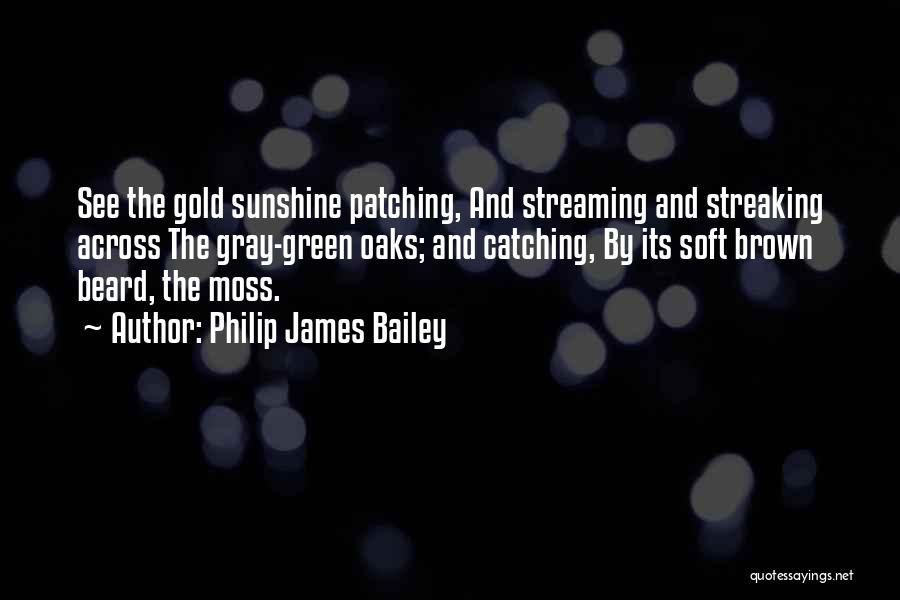 Chinbat Setgeliin Quotes By Philip James Bailey