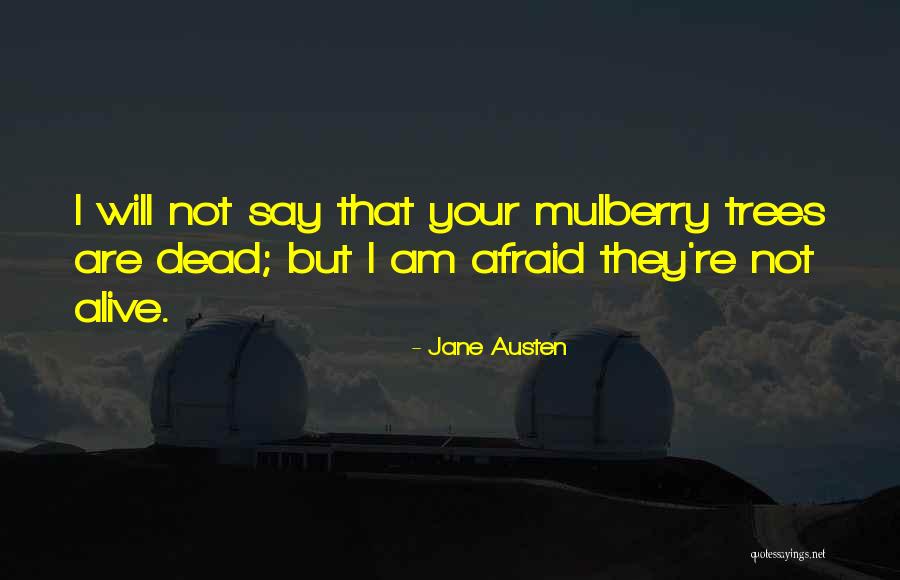 Chinese Music Quotes By Jane Austen Chinese Music Quotes By Jane Austen