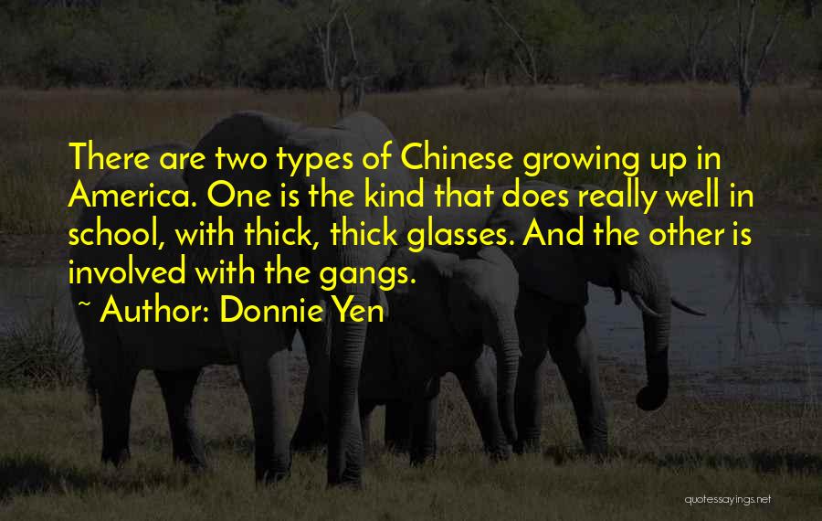 Chinese Quotes By Donnie Yen