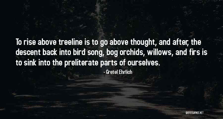 Chingneng Quotes By Gretel Ehrlich Chingneng Quotes By Gretel Ehrlich
