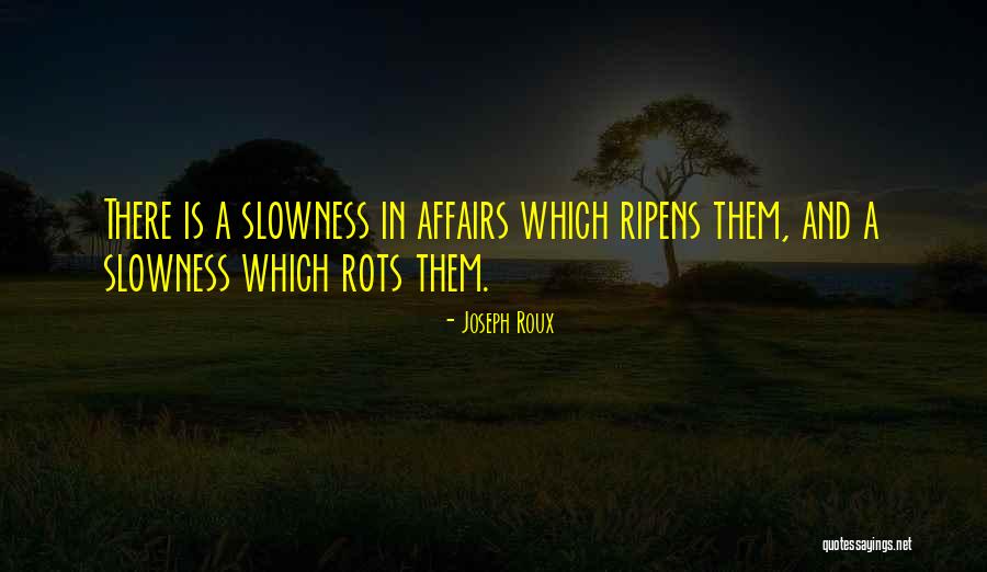 Chinmoy Chatterjee Quotes By Joseph Roux Chinmoy Chatterjee Quotes By Joseph Roux