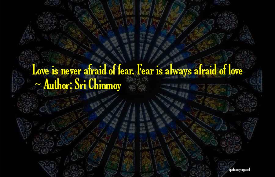 Chinmoy Quotes By Sri Chinmoy