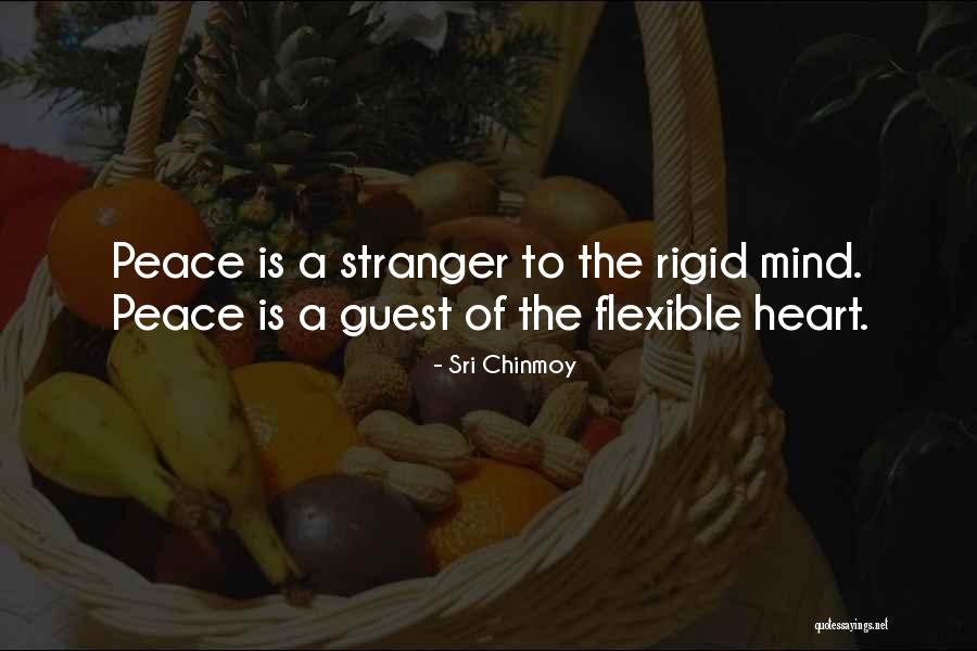 Chinmoy Quotes By Sri Chinmoy