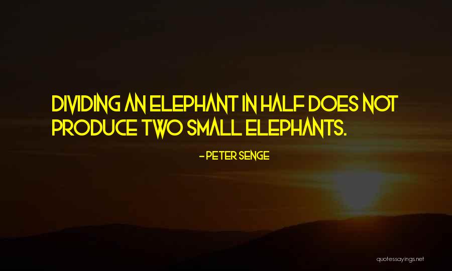 Chinna Jeeyar Quotes By Peter Senge Chinna Jeeyar Quotes By Peter Senge