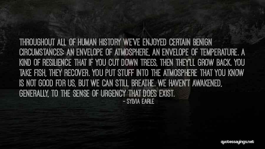 Chinua Achebe Death Quotes By Sylvia Earle Chinua Achebe Death Quotes By Sylvia Earle