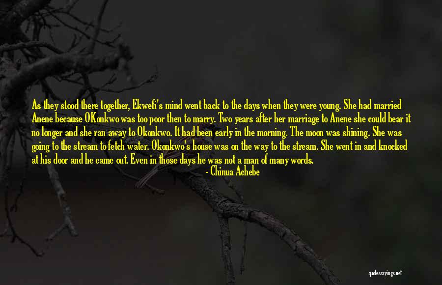 Chinua Achebe Quotes 342263